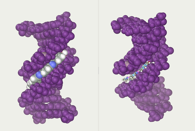 File:DNA-ligand-by-Abalone.png