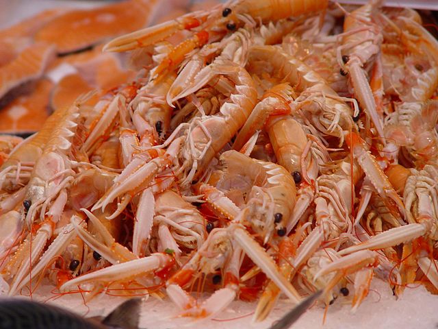 File:Shrimps at market in Valencia.jpg