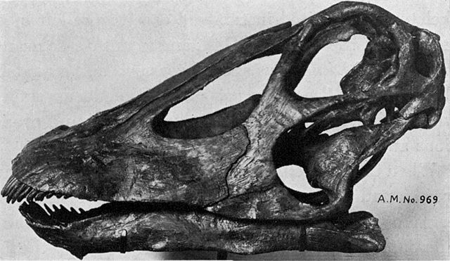 File:Fig023.jpg