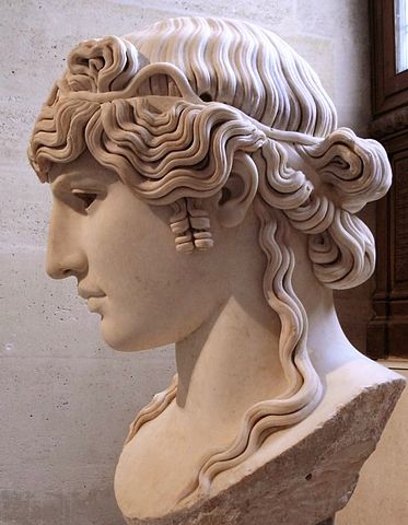 File:Antinous Mandragone profil.jpg