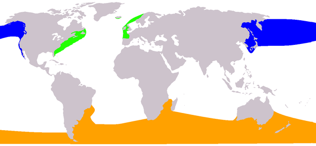 File:Eubalaena range map.png