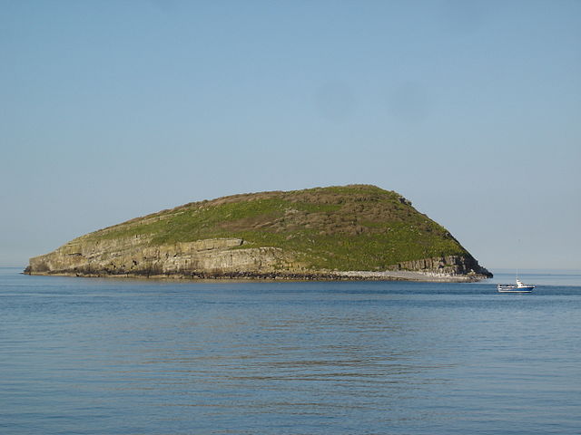 File:Puffin Island (Ynys Seiriol), Anglesey.JPG