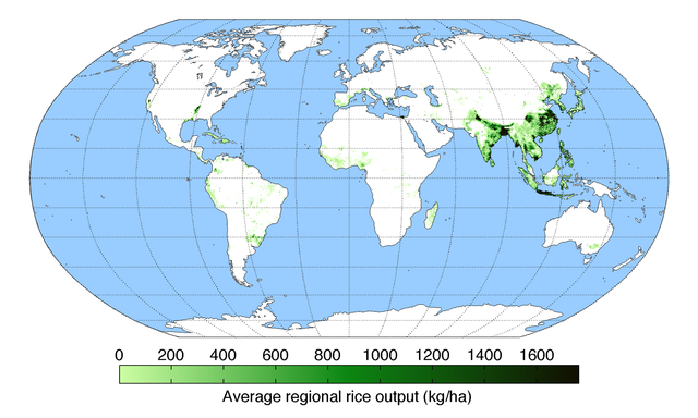 File:RiceYield.png