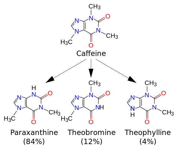 File:Caffeine metabolites.svg