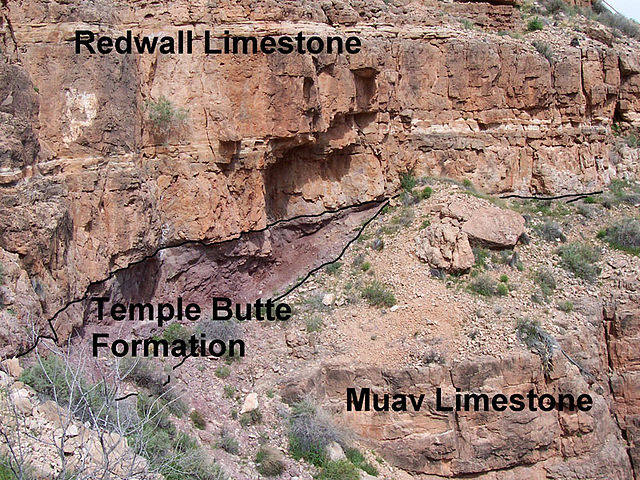 File:Redwall, Temple Butte and Muav formations in Grand Canyon.jpg