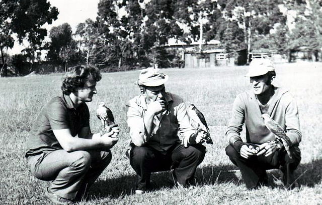File:Georgian falconers with sparrowhawks.jpg
