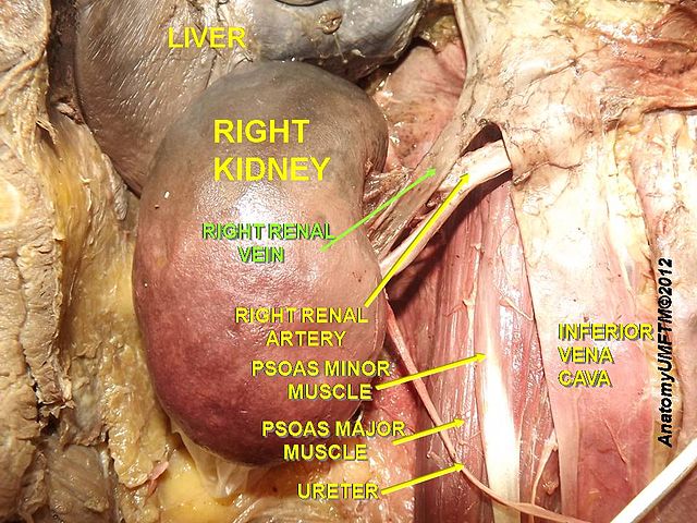 File:Slide4nn.JPG