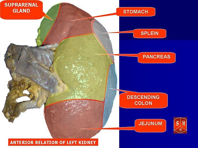 File:Slide42222.JPG