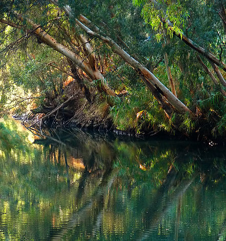 File:Jordan River Bushy.jpg