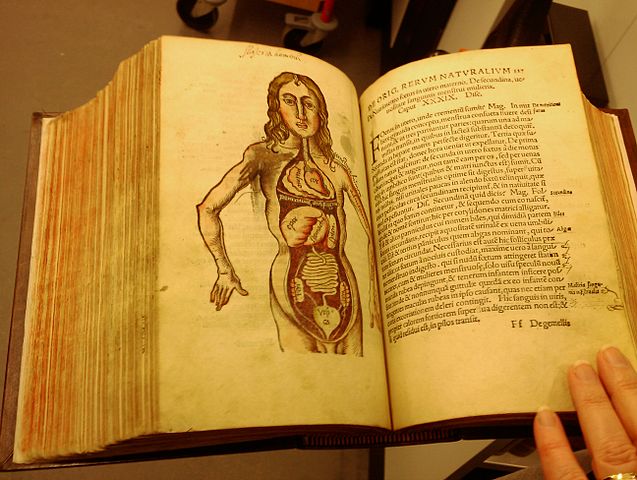 File:Margarita Philosopica by Reisch 2.jpg
