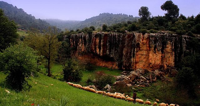 File:Sakebrajeb.jpg