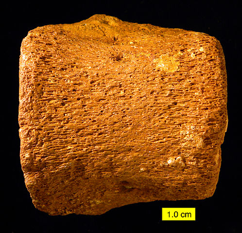File:CentrumSideView.jpg