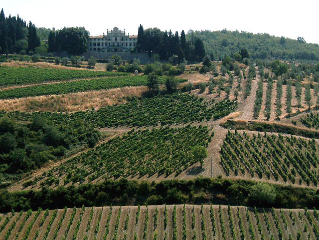 File:Chianti-colline2-2.jpg