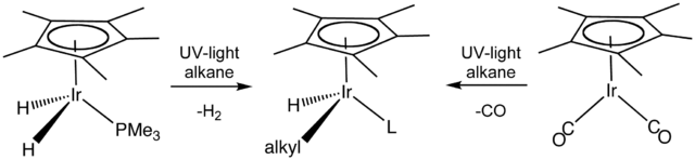 File:C-HactnBergGrah.png