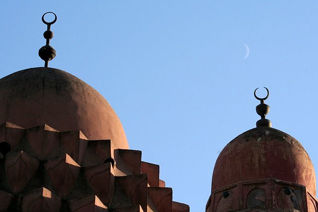 File:Damascus domes.jpg