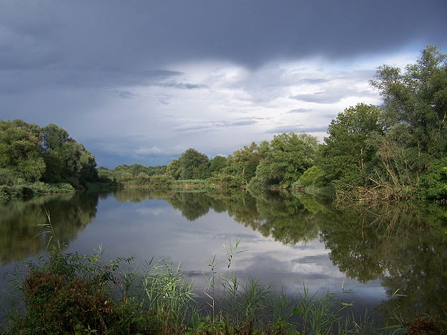 File:Enkheimer Ried.jpg