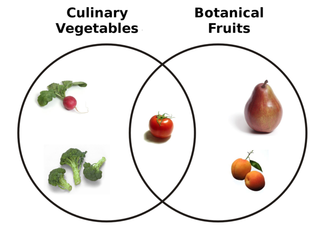 File:Botanical Fruit and Culinary Vegetables.png