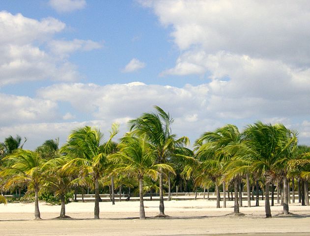 File:Crandon Park Modified.jpg