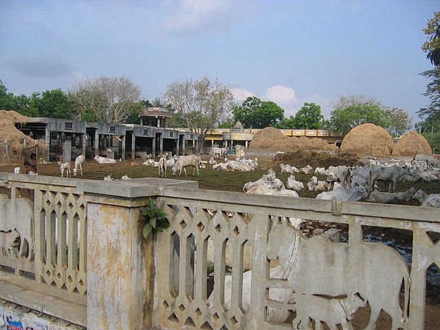 File:GntGowSala.jpg