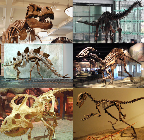 File:Various dinosaurs.png