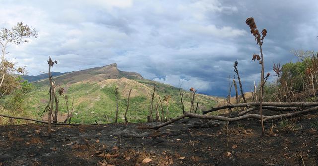 File:DirkvdM santa fe scorched.jpg