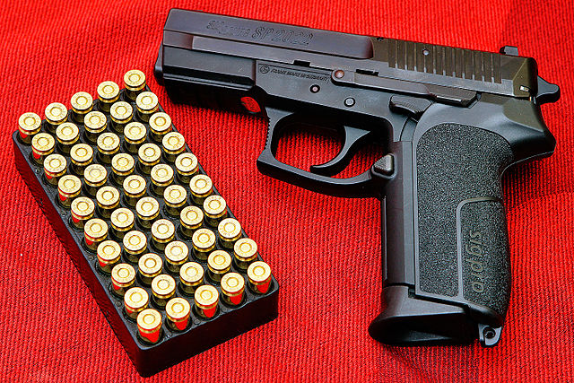 File:SIG Pro by Augustas Didzgalvis.jpg