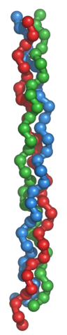 File:Collagentriplehelix.png
