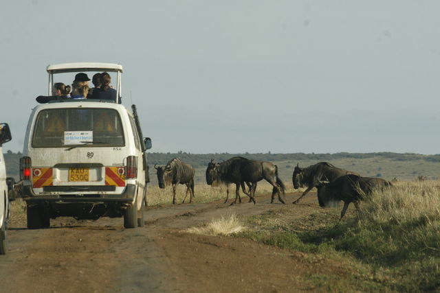 File:Kenya safari.jpg