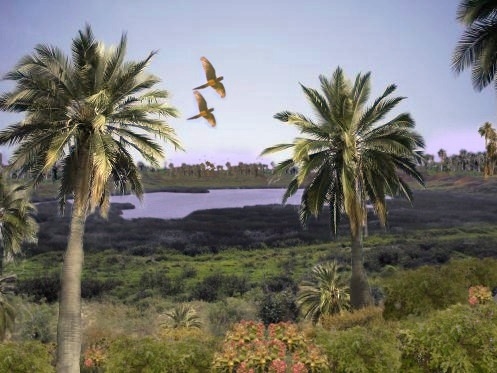 File:RAPA NUI.JPG
