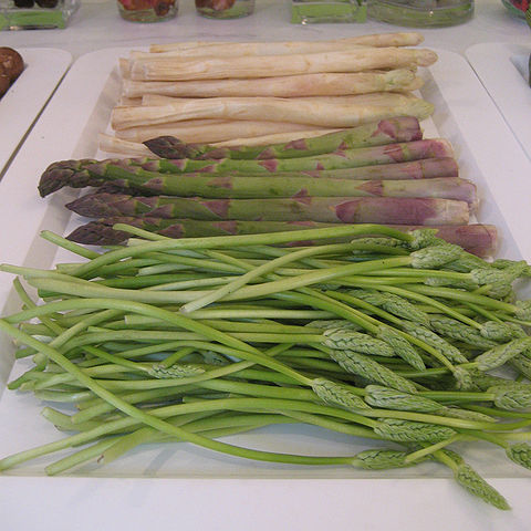 File:Asparagus3.JPG