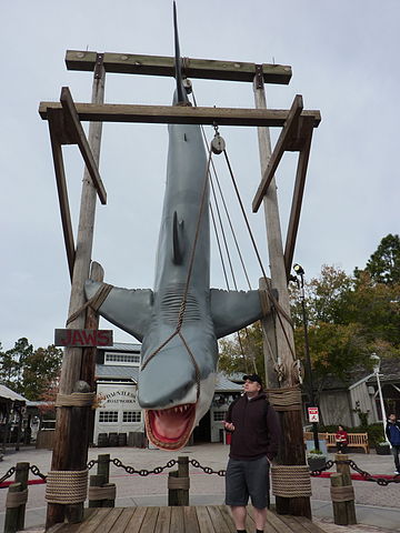 File:UniversalStudiosJawsSharkCloseup.JPG