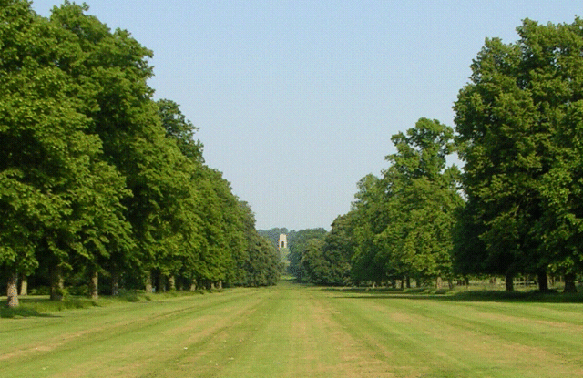File:Belton. Belvedere.Giano.gif
