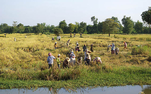 File:Battambang Provinz 01.jpg