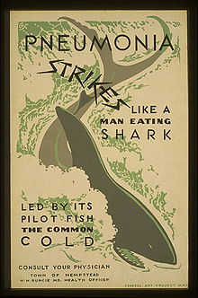 A poster with a shark in the middle of it which reads