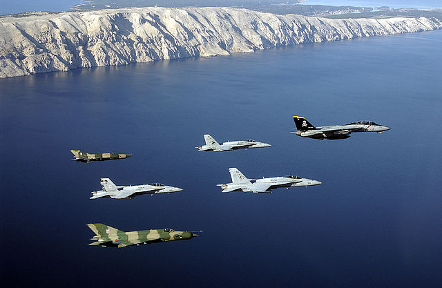 File:US Navy 021029-N-1955P-020 Navy aircraft participate in Joint Wings 2002.jpg