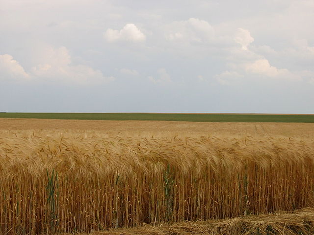 File:Beauce 3.jpg