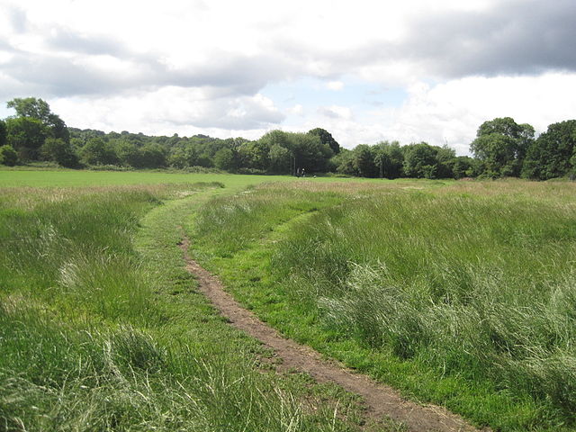 File:01DVG HAMPSTEAD HEATH EXTENSION.jpg