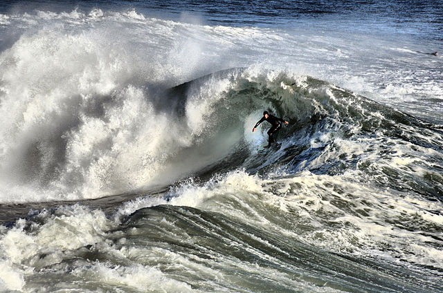 File:Surfer in Santa cruz 11-8-9 -1.jpg