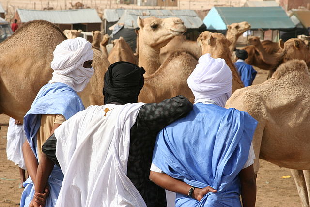 File:Nouakchott camel market2.jpg