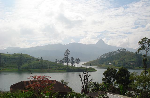 File:Sri Paada1.JPG