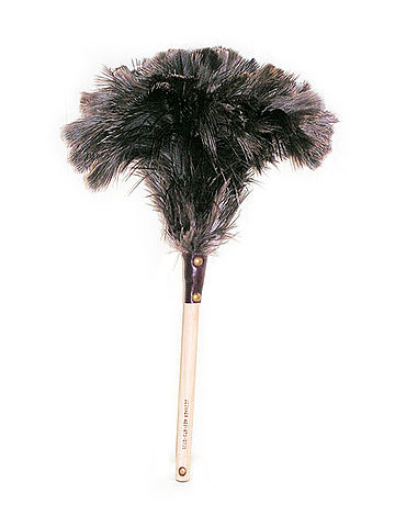 File:OstrichFeatherDuster.jpg