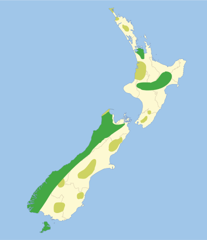 File:Kakapohist.svg