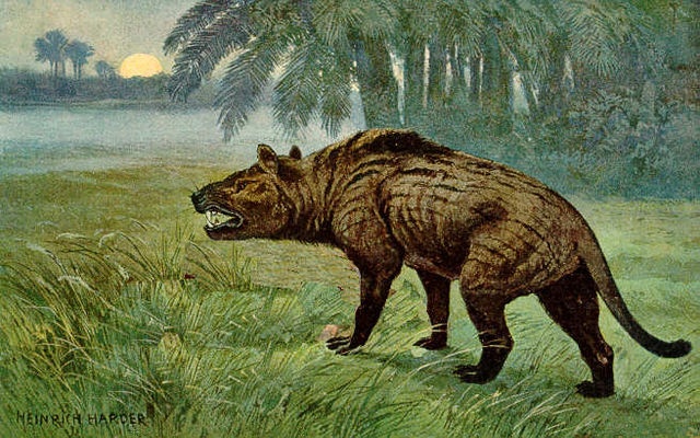 File:Hyaenodon Heinrich Harder.jpeg