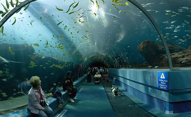 File:Georgia Aquarium - Ocean Voyager Tunnel Jan 2006.jpg