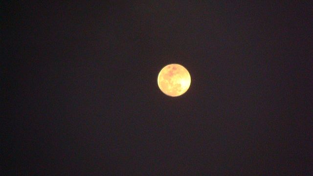 File:Full moon night.JPG