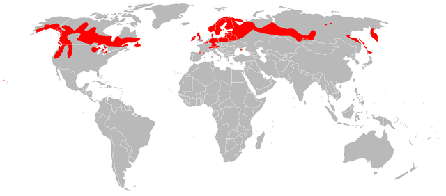 File:Drosera anglica distribution.png