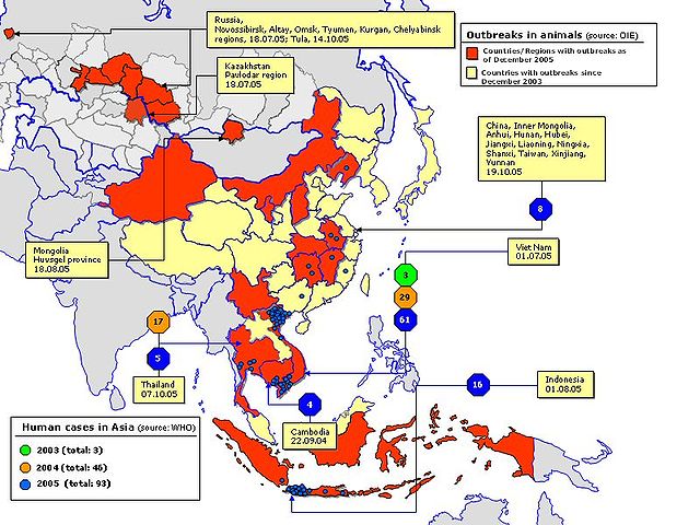 File:Avian influenza spread map.jpg