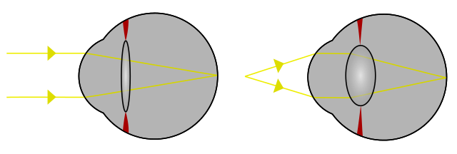 File:Focus in an eye.svg