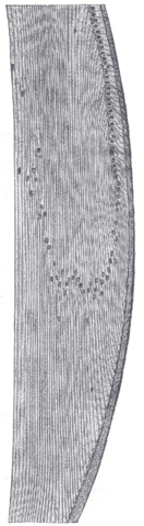 File:Gray887.png