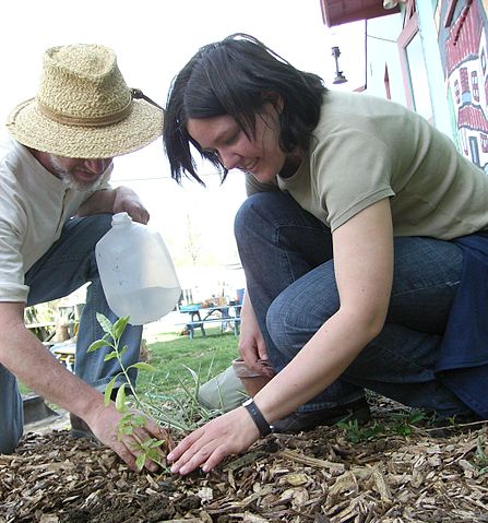 File:Brian Farrell plants.jpg